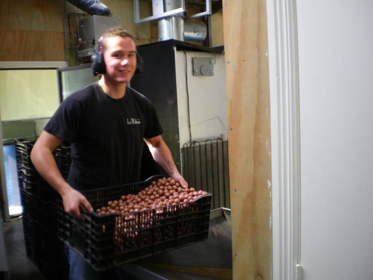 young boy in black shirt holding a crate of macadamia nuts