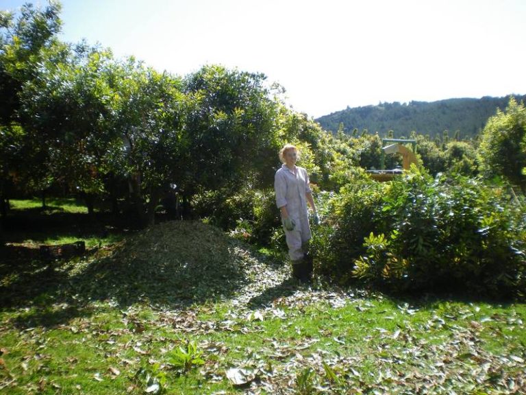 girl standing in front of pile of macadamia nut tree pruning