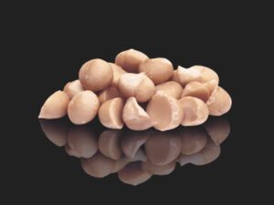 small pile of macadamia nuts on a black reflective background