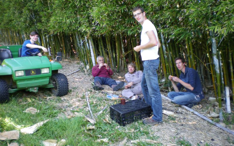 Enjoying a break in the orchard